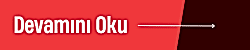 Web-Site